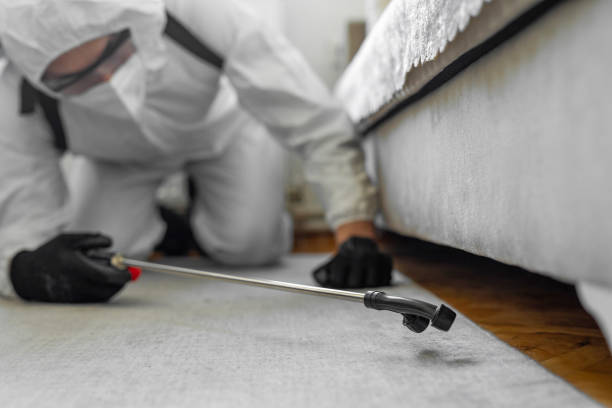 Professional Bed Bug Control technician working in North Miami Beach, FL