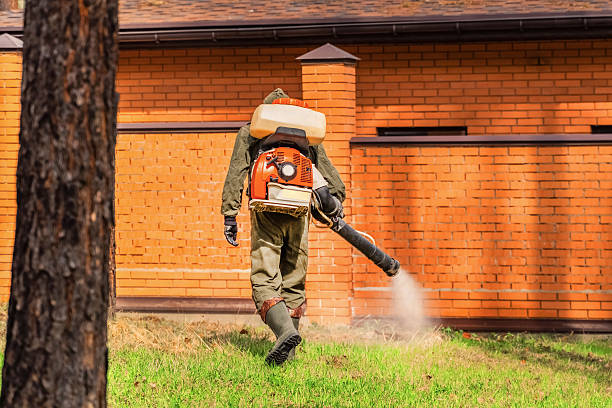 Trusted Cockroach Control service in North Miami Beach, FL - Nex Pest Control